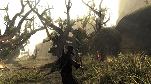 Risen - Nintendo Switch